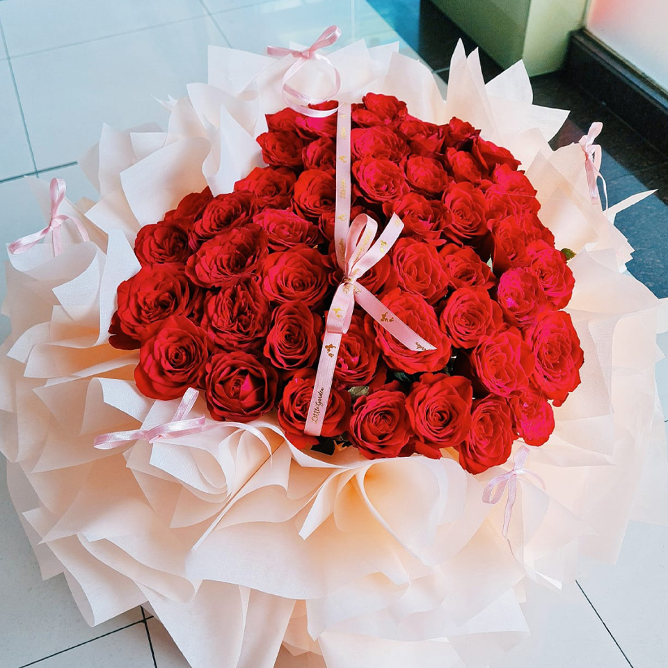 princess-h100